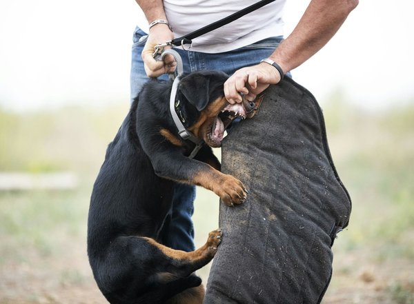 Clauses suspensives compromis : clés pour sécuriser votre achat